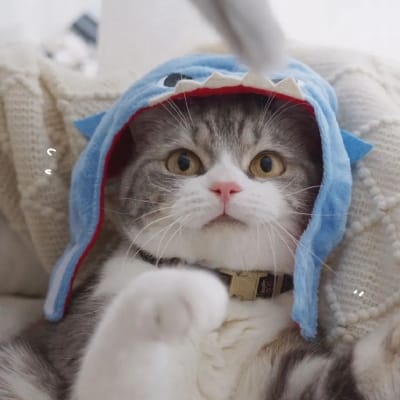 ادنان اکمل avatar